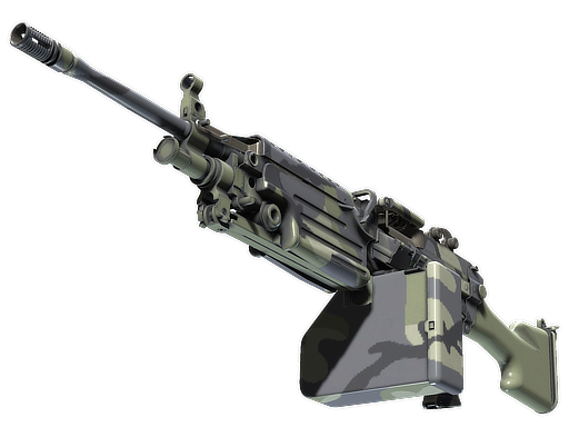 M249 | Sage Camo (Battle-Scarred)